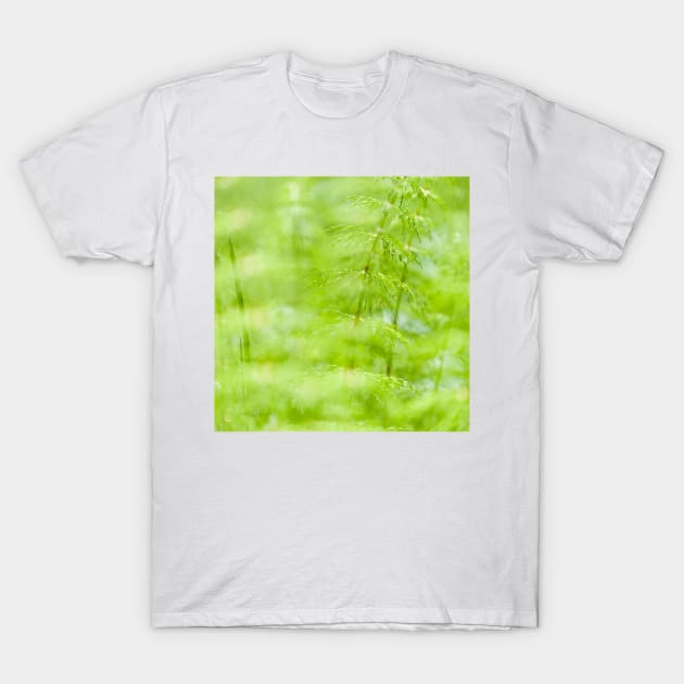 Summer Sprout T-Shirt by ansaharju